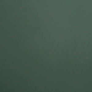 Meet your Posher, Yu